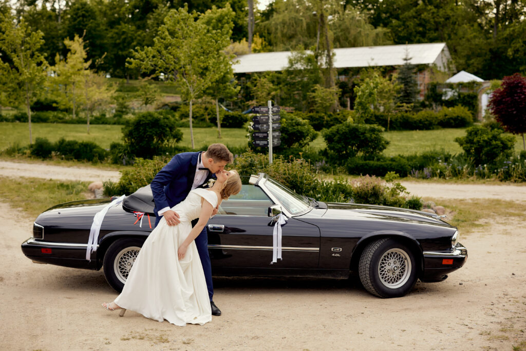 PM Perfect Media_ 505